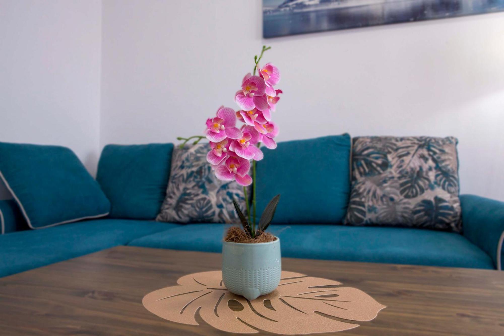Casa Del Durmitor Appartement Žabljak Buitenkant foto